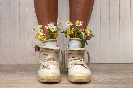 women's feet in socks they are inserted flowers. A young hipster girl in sneakers and socks with flowers. Field flowers from socksの写真素材
