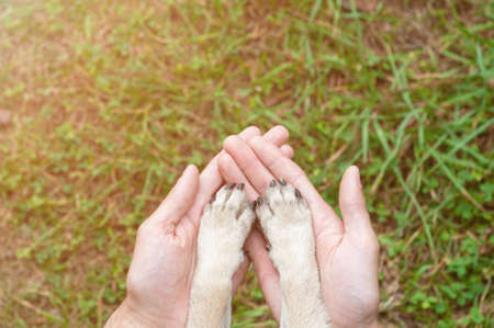Human and the animal dog connection. The concept of trust and friendshipの写真素材