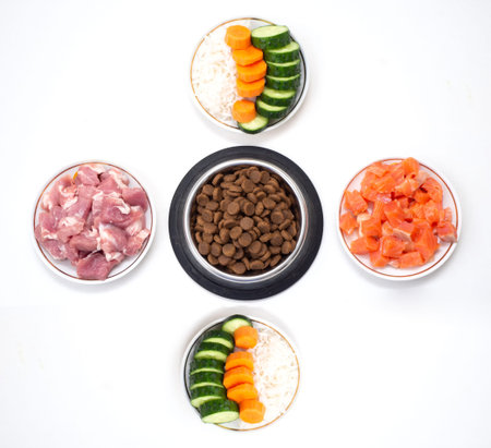 Dry pet dog food in bowl with natural ingredients. Raw meat, fish, vegetables, eggs and salad. concept of correct balanced and healthy nutrition for pet, flat layの写真素材