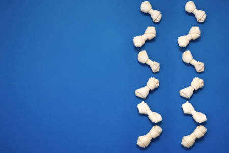 Variety of dog treats. Dod delicacy food on blue background with copy space. flat layの写真素材