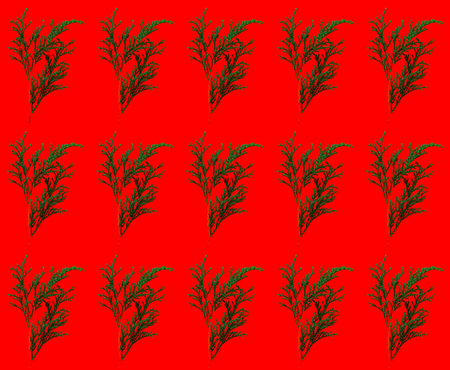 Pine and fir branches isolated on red background, seamless pattern. Christmas and New Year...