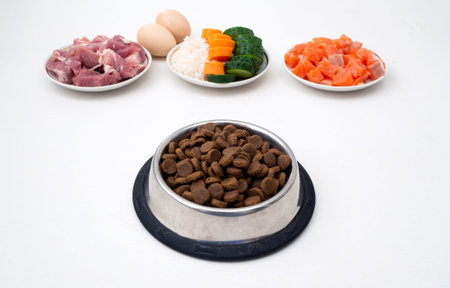 Dry pet dog food in bowl with natural ingredients. Raw meat, fish, vegetables, eggs and salad....