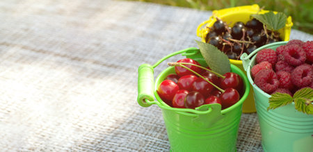Colored baskets overflowing with summer mixed berries like raspberries, currant and cherry. Harvest of various berries in a garden on a green background with copy spaceの写真素材