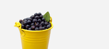 yellow bucket of ripe blueberry with green leaf on white background, close up. copy spaceの写真素材