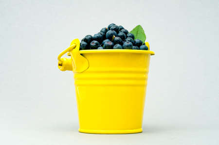 yellow bucket of ripe blueberry with green leaf on white background, close upの写真素材