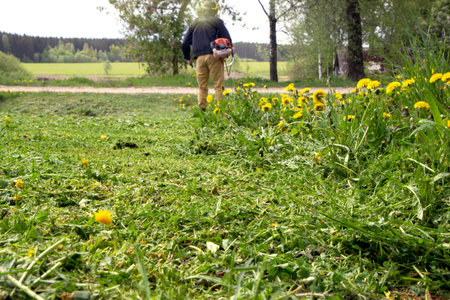 The gardener man mows the grass with yellow dandelions with a hand lawn mower. selective focus....