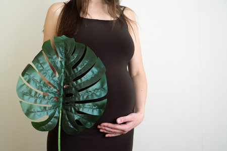 Pregnant woman with green tropical palm monstera leaf holds hands on belly. Eco pregnancy and planning pregnacyの写真素材