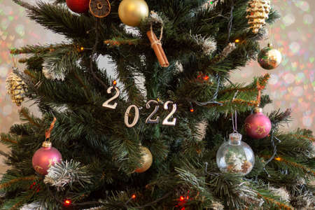 New year 2022 numbers in green Christmas tree branches. Holiday decoration card.の写真素材