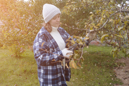 gardener woman pruning fruit trees with pruning shears in autumn for a good harvest next year.
