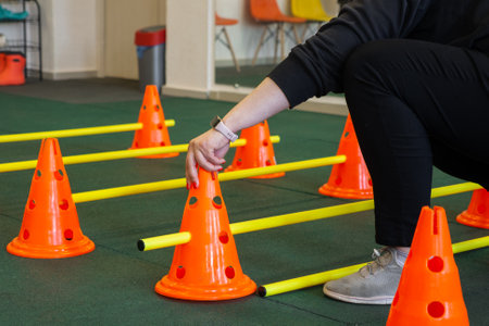 Barrier for training and agility for dogs. Playground for pets.