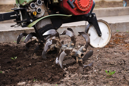 motor cultivator or tiller tractor cultivates the ground soil in the garden close up. Modern plowing...