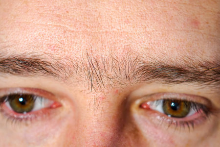Extreme close up macro eyebrows of a man. Fused eyebrows or unibrowの写真素材