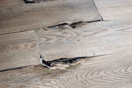 buckled laminate floor with torn planks and visible crack caused by heated floor expansion. closeup of damaged floor covering with lifted edgesの写真素材