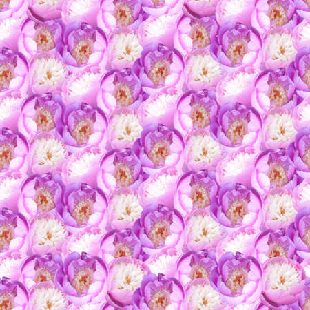 Pink peonies flowers background. Photo collage seamless pattern for festive design.