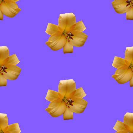 Background from flowers of yellow lilies. Photo collage seamless pattern.の写真素材