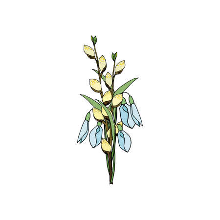 Colorful bouquet of flowers of snowdrops and pussy willow branches. Vector illustration for festive design.のイラスト素材