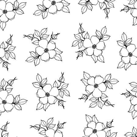 Seamless pattern with flowering rose hips, black and white contour printのイラスト素材