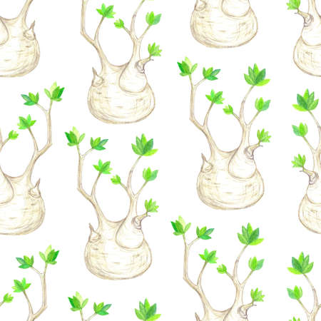 Seamless pattern of plants adenium obesum, caudex, branch with leaves. Illustration with colored pencils.の写真素材