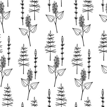 Seamless pattern with forest herbs, doodle black outline drawing.のイラスト素材