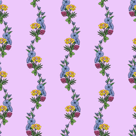 Seamless pattern with print of borders with bouquets of wild flowers chicory, clover, tansy.の写真素材