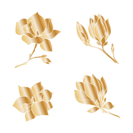 A set of branches of magnolia flowers with a golden gradient fill on a white background.のイラスト素材