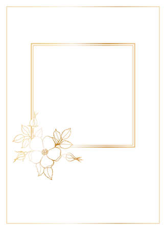Rectangular postcard template with a square frame in the center decorated with a branch with a wild rose flower. Vector illustration with golden gradient outline.のイラスト素材