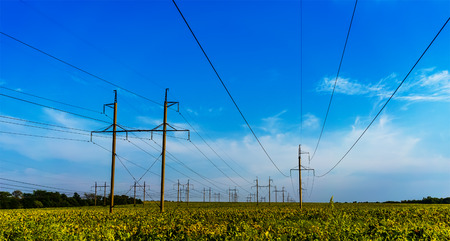 Electricity pylon against the sky in sunflower fieldの写真素材