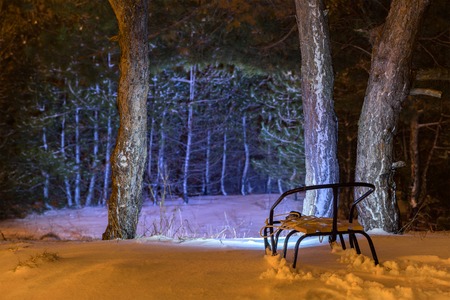 sleigh with a lantern at night in the snow-covered forestの写真素材