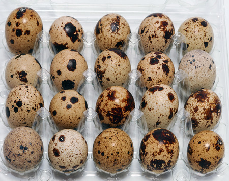 Quail egg on a light background close upの写真素材