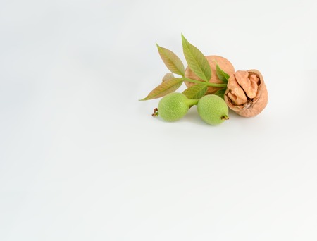 Walnut and walnut kernel isolated on the white background.の写真素材