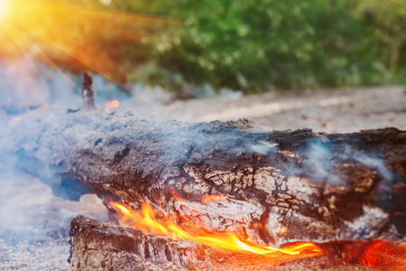 Forest fire burning, Wildfire close up at day timeの写真素材