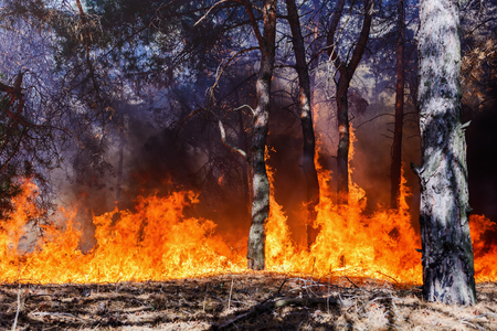 気候変動の写真 イラスト素材一覧 105 9件 ストックフォトのamanaimages Plus 気候変動の写真 イラスト素材一覧 105 9件 ストックフォトのamanaimages Plus