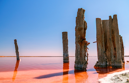 Mushroom-shaped salt formation in the Lake. Water of this lake is heavily saturated with salt and has a bright pink color.の写真素材