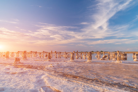 sunset on a pink salt lake, a former mine for the extraction of pink salt. row of wooden pegs overgrown with saltの写真素材