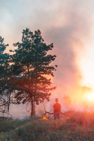 Forest fire burning, Wildfire close up at day timeの写真素材