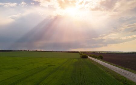 aerial view, dirt road divides green and brown field.