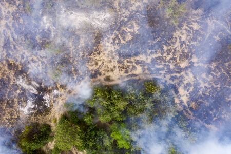 Forest fire in the coniferous forest, aerial view. The human factor that caused the disaster. Shooting from the droneの写真素材