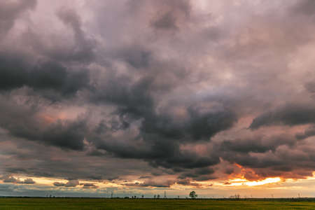 Storm clouds and a field of young wheat on a spring day.