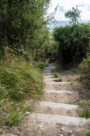 path through mountains ,stone step close upの写真素材