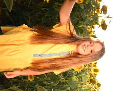 Cute little girl with long hair in sunflower field on summer dayの写真素材