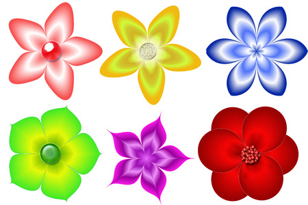 colorful flowers isolatedの写真素材