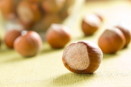 Hazelnuts (filbert)の写真素材