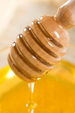 Honeyの写真素材
