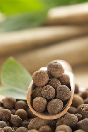 Allspiceの写真素材