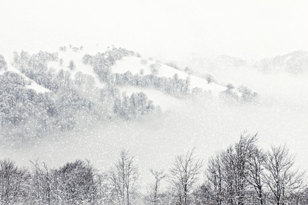 Winter landscapeの写真素材