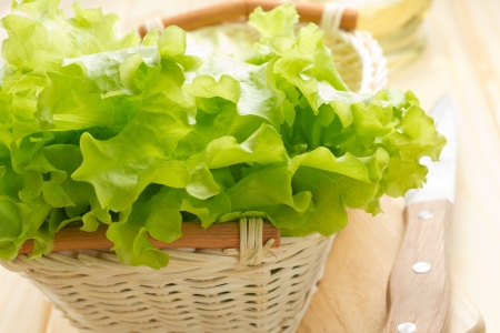 Lettuceの写真素材