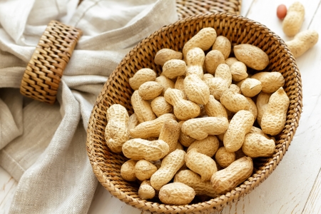 Peanutの写真素材