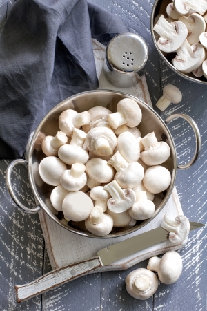 Mushroomsの写真素材