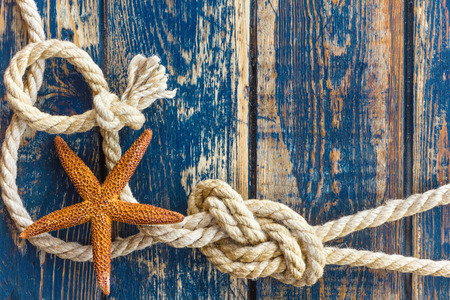 Sea shellsの写真素材