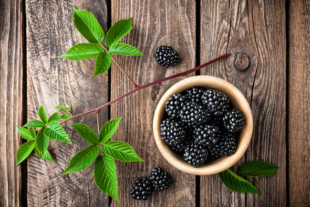 blackberryの写真素材